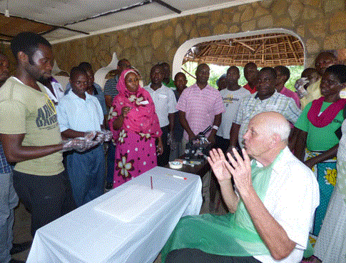 Participants looked at live butterflies