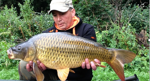 COMMON  CARP WEIGHING 16LB 8 OZ