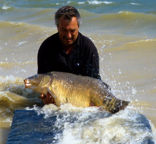 A man holding a carp in a choppy sea.