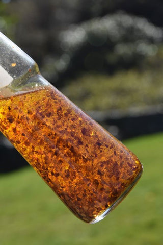 Chilli oil in a glass bottle.