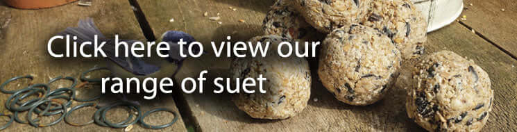 View our range of suet