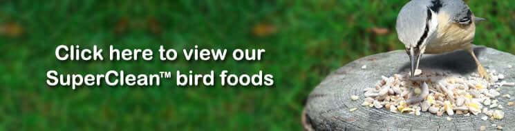 Buy your garden bird food from Haith's