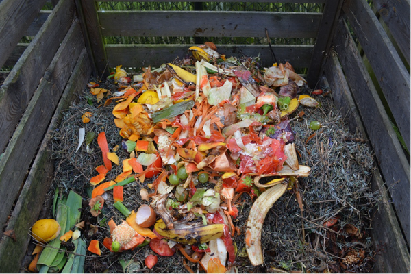 Colourful fresh matter on a compost heap.