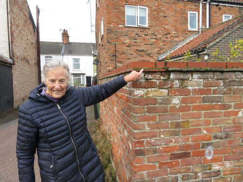 Margaret pointing at moss on a wall.