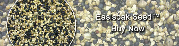 Easisoak Bird seed