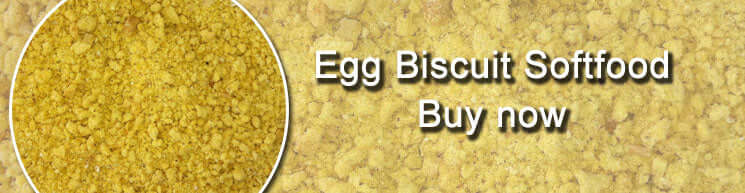 Egg buscuit Soft Food