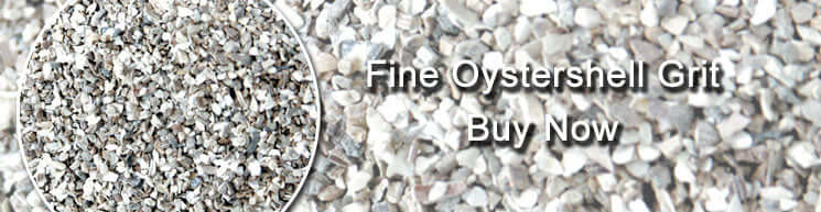 Fine Oyster Shell Grit