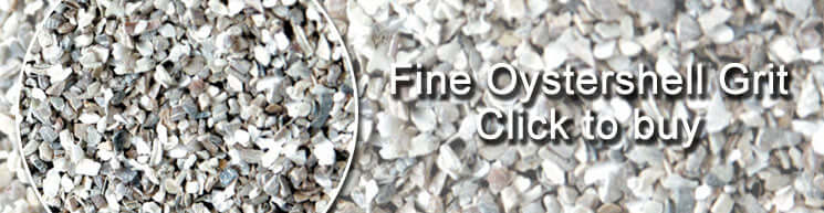Fine Oystershell Grit