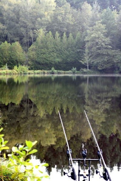 Two rods over a still fishing lake.