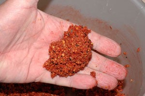 Hand holding orange-red, seeded fishing paste.