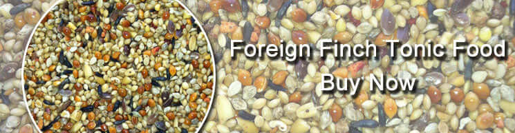 Foreign Finch Tonic Food