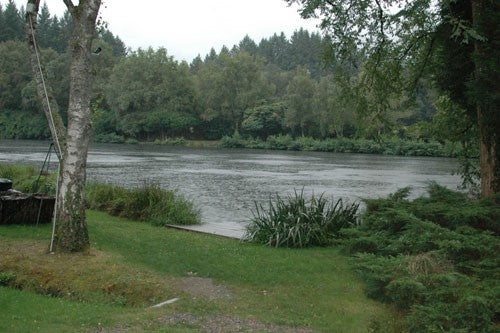 A rainy lake with an abundance of greenery surrounding it.