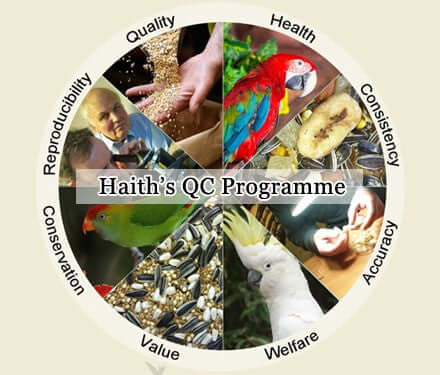Haiths QC Programme