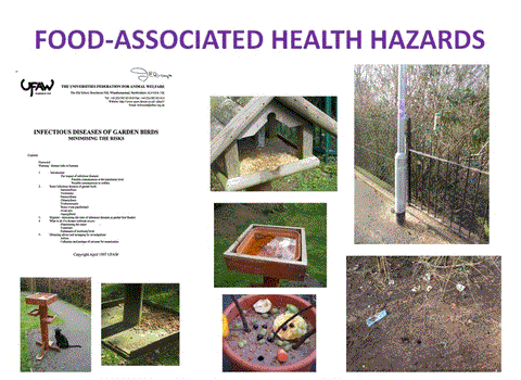 Food Health Hazards