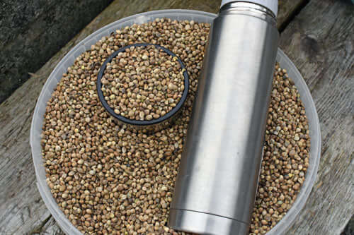 Hempseed-in-Thermos-flask