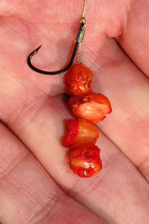 Hook with red fishing bait attached.
