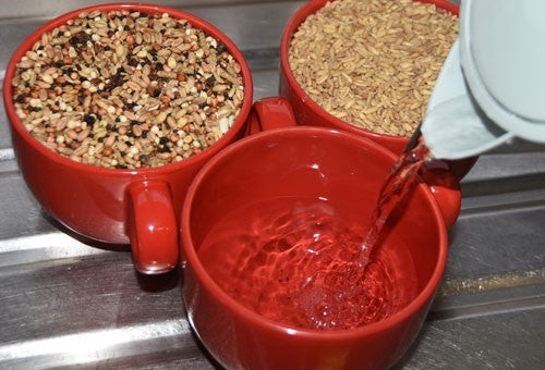 3 red mugs filled with Red Band, Groats and boiling water.