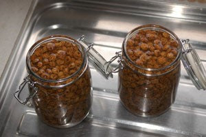 Two glass jam jars filled with tiger nuts and boiling water.