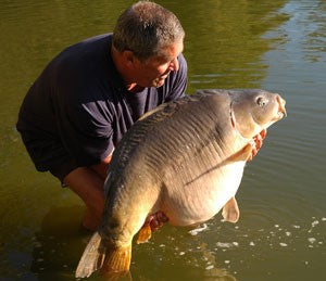 Ken in water, holding a carp with a large stomach.
