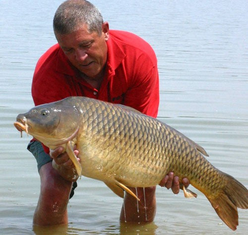 Ken standing in water, holding a large carp.