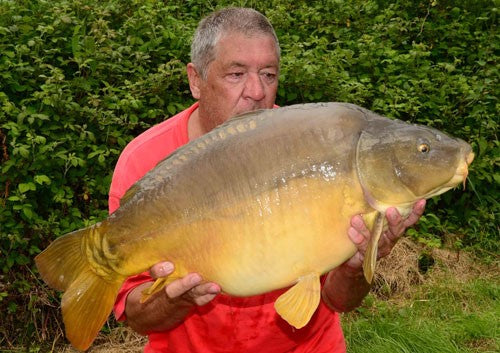 A man holding a giant carp fish.