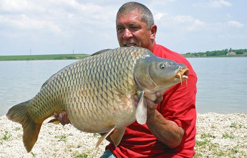 Ken on the coastline, holding up a large carp.