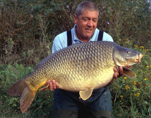 Ken looking down lovingly at his massive carp catch.