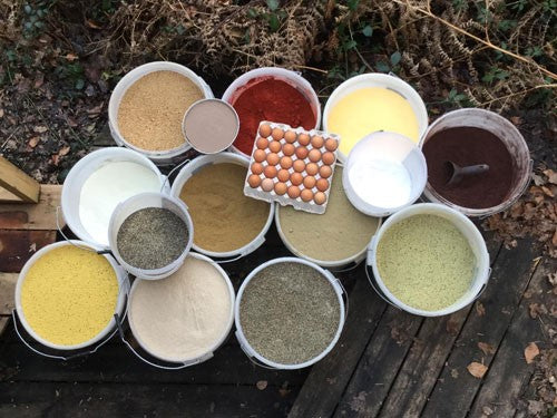 An assortment of bait ingredients including coloured powders and eggs.