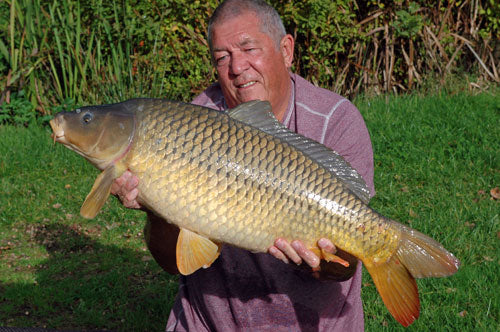 Ken Townleys catch, I even found time to do a bit of fishing too