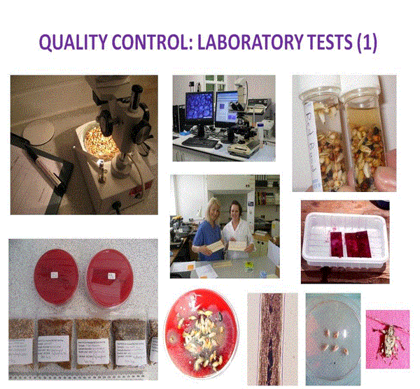 Quality Control tests 2