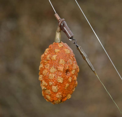 Lead-wrapped-in-paste-studded-with-pellets