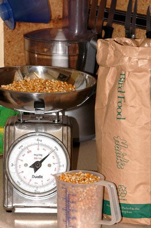 Scales with mini-maize next to a measuring jug.