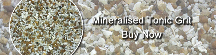 Mineralised Tonic Grit