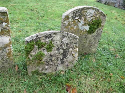 moss on gravestones