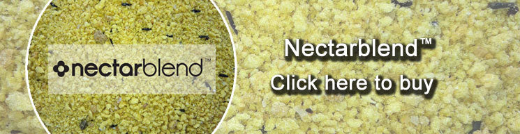 Nectarblend carp fishing bait