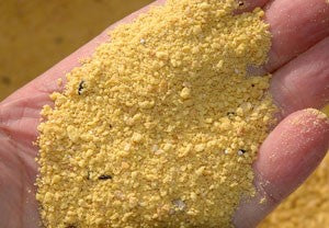 Haith's Nectarblend, a yellow fishing bait ingredient.