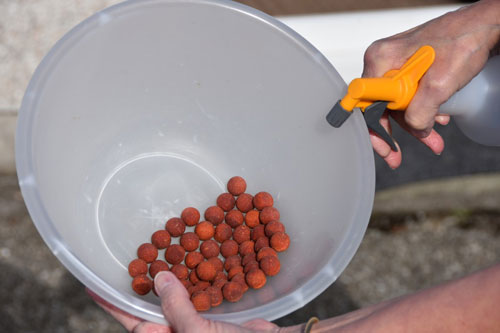 Place your bait in a bowl and spray them with a generous amount of the liquid Betaine