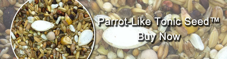 Parrot Like Tonic Seed Direct from Haith's