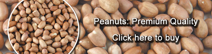 Premium Peanuts