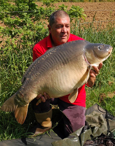 Photo of Ken Townley holding a large carp in the sunshine