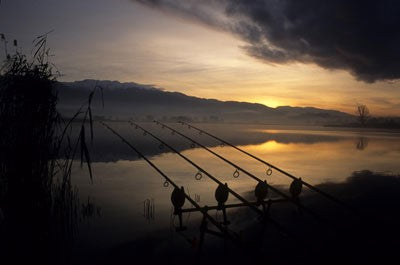 Image of a lakeside at sunset showing three fishing rods