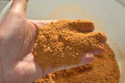 Image of fishing bait mix in the palm of someones hand