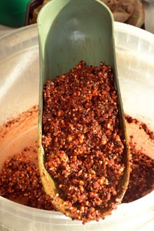 Image of fishing bait bird food mix in a green scoop