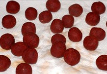 Image of red boilies being dried on kitchen roll