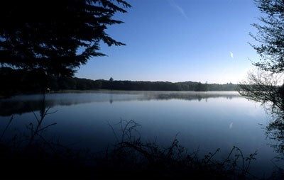 Image of a lake with the low sun shining on the surface