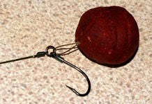 Image of a boilie attached to a hookbait