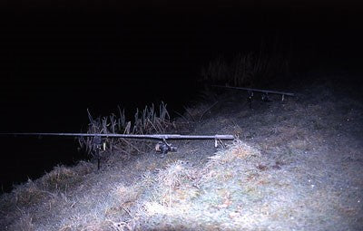 Image of a lakeside at night with frost on the ground