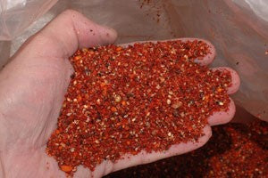 Image of Superred fishing bait in the palm of someones hand