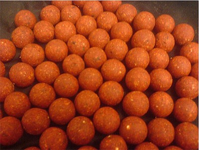 Image of Robin Red Boilies