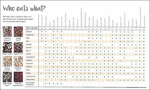 Image of a bird feeding chart